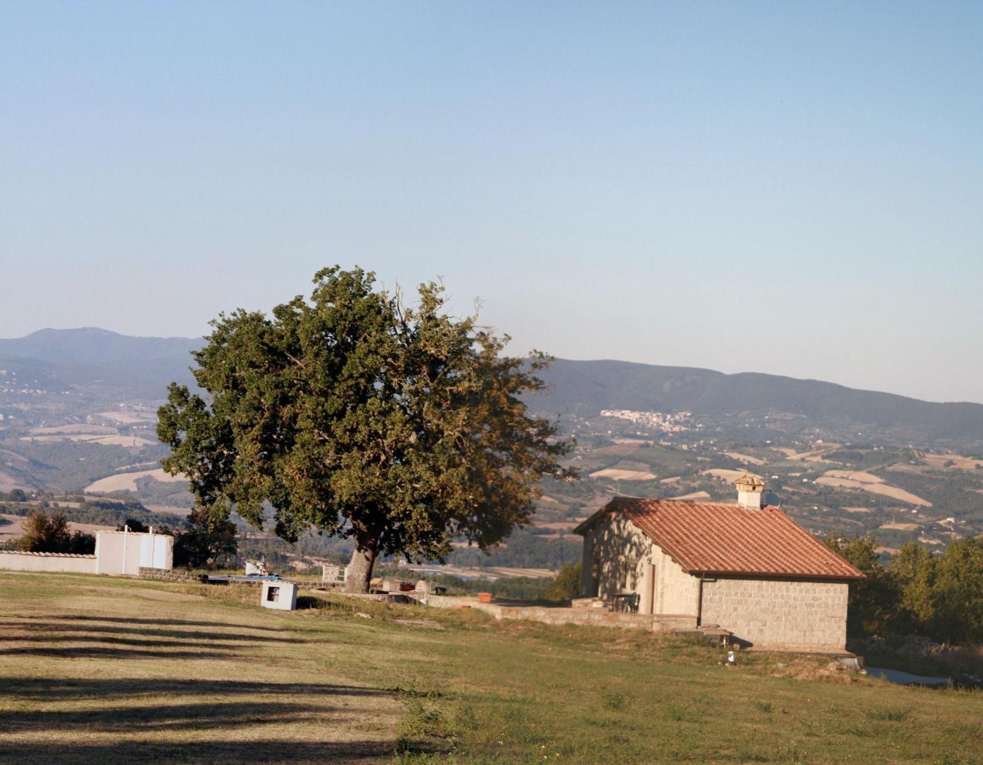 Agriturismo Le Querce Bomarzo Eksteriør bilde